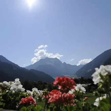 胡伯旅馆