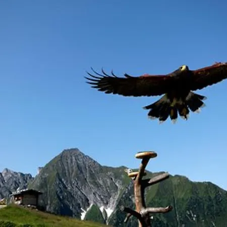 Gastehaus Huber Hotel Mayrhofen
