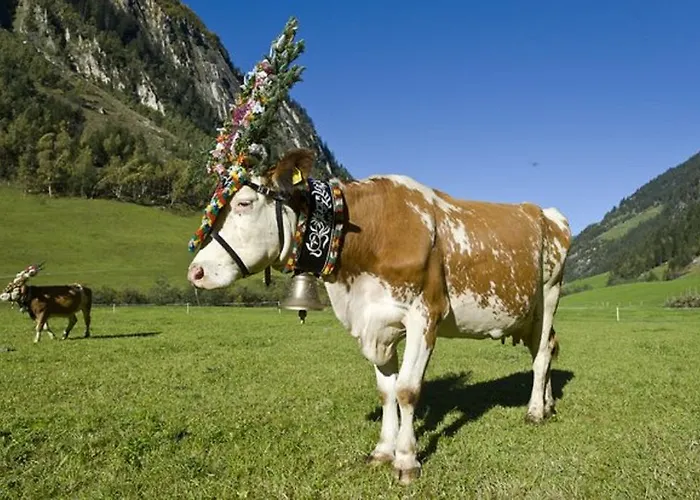 Hotel Gastehaus Huber