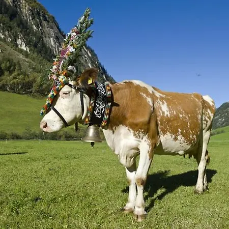 فندق Gastehaus Huber